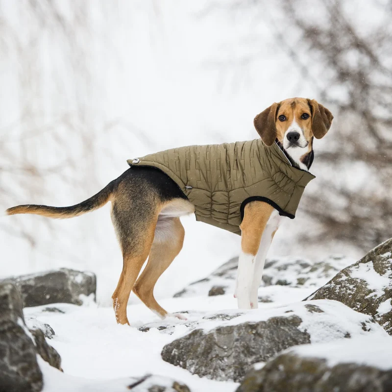 Reversible Chalet Dog Jacket | Khaki Nylon