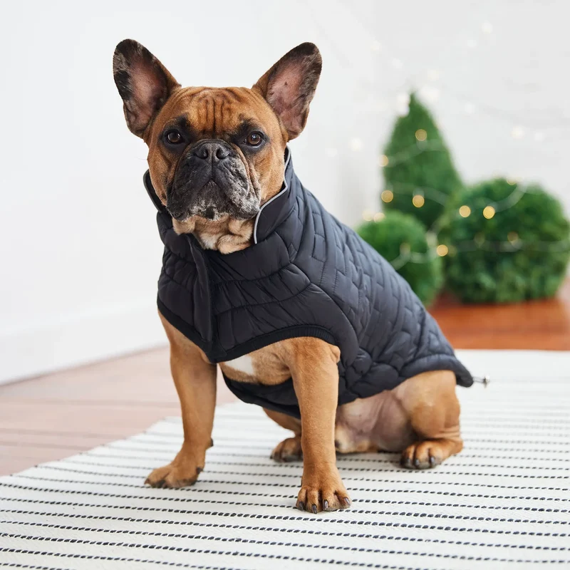 Reversible Chalet Dog Jacket | Black Nylon