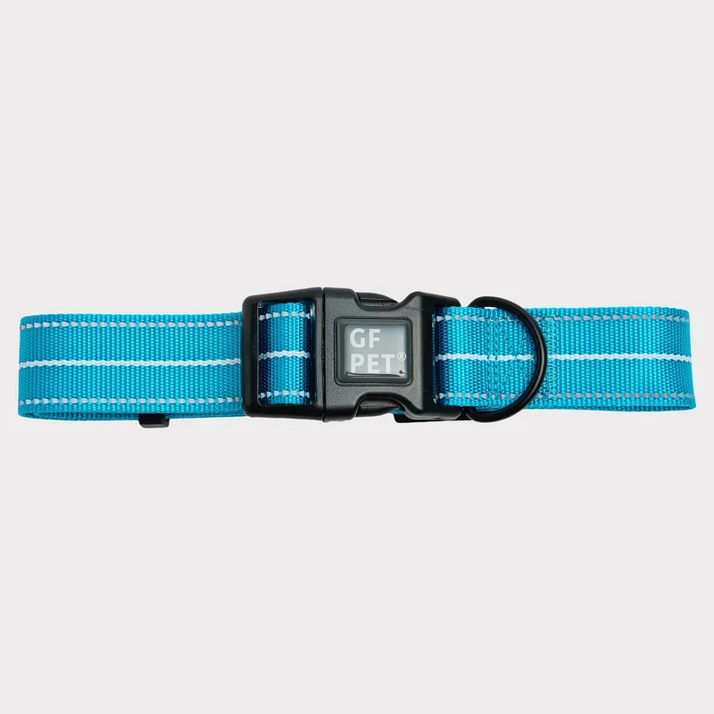 Reflective Dog Collar | Neon Blue