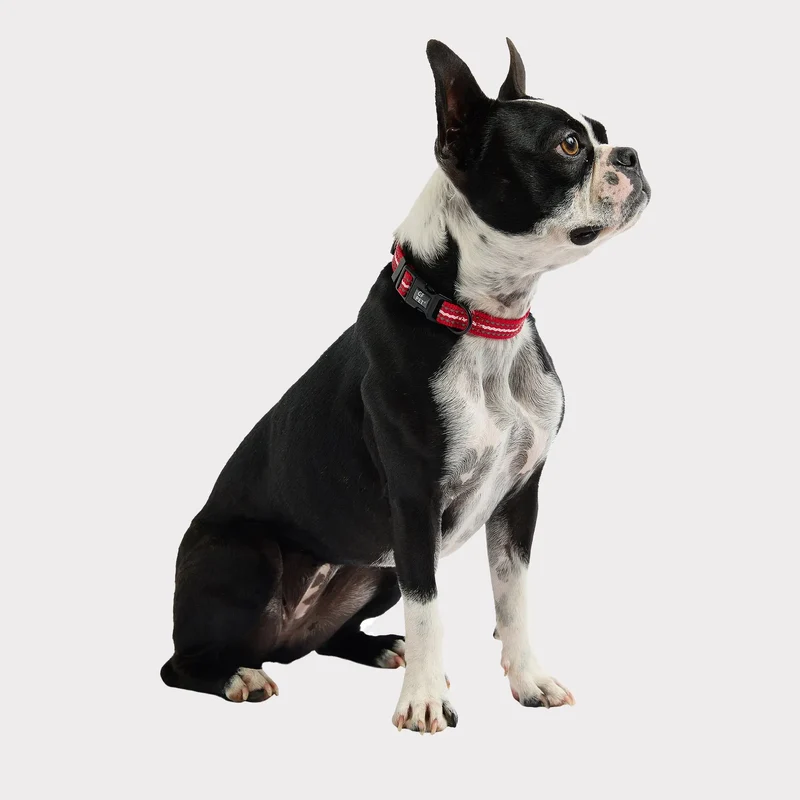 Reflective Dog Collar | Red
