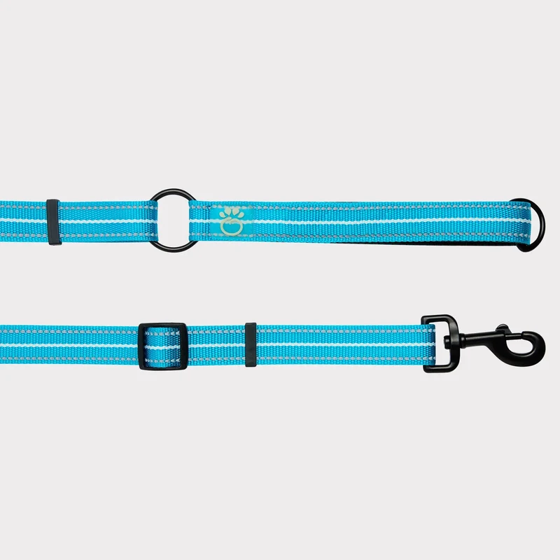 EEZY-6® Reflective Dog Leash | Neon Blue