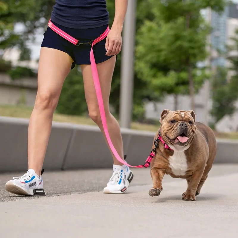 EEZY-6® Reflective Dog Leash | Neon Pink