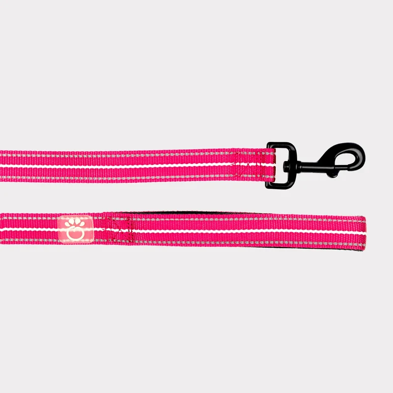 Reflective Dog Leash | Neon Pink