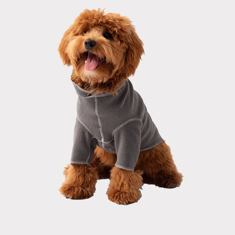 Gondola Base Layer for Dogs | Charcoal