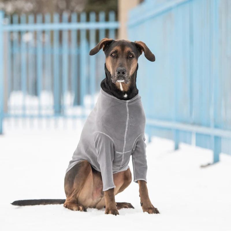 Gondola Base Layer for Dogs | Charcoal