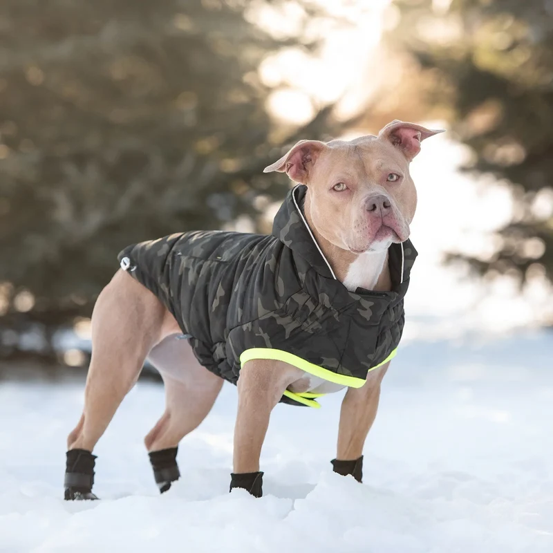Recycled Parka Dog Coat | Camouflage