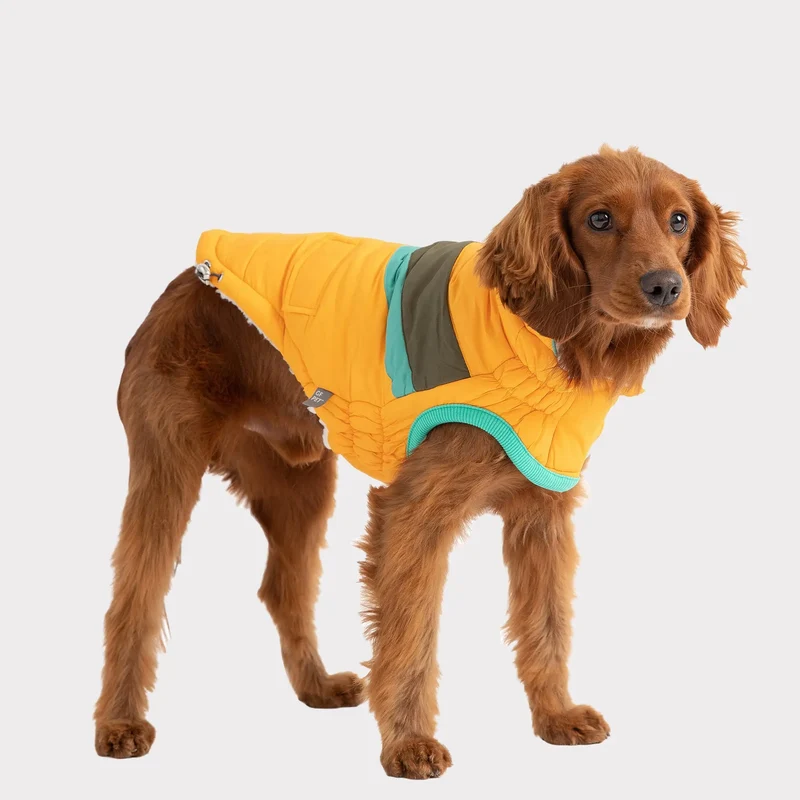 Alpine Puffer | Yellow