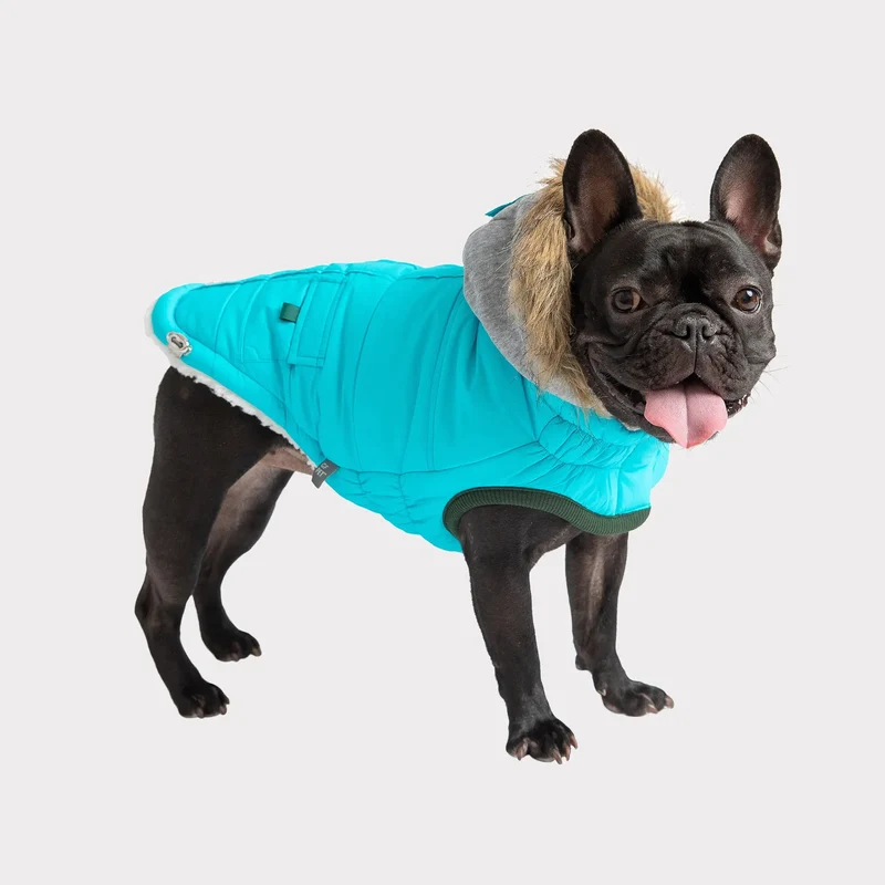 Winter Sailor Dog Parka | Aqua