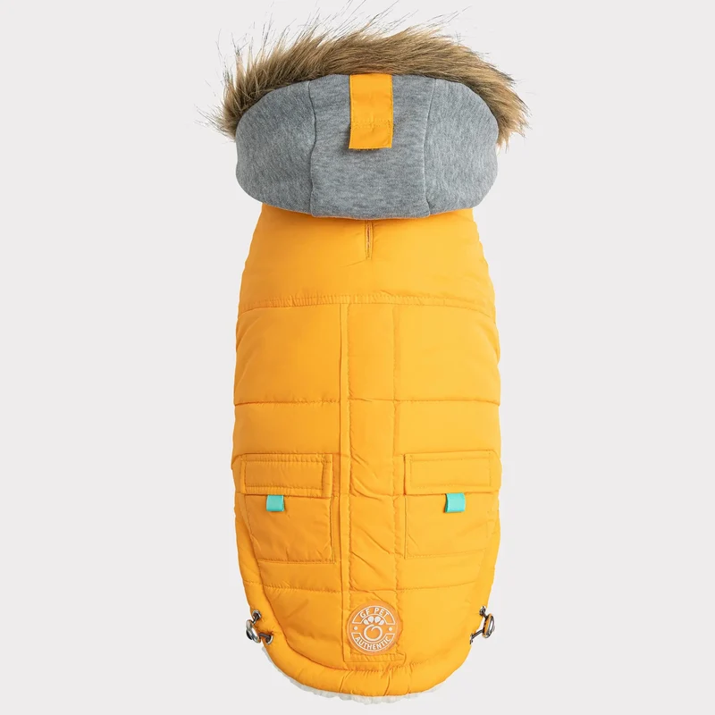 Winter Sailor Dog Parka | Yellow