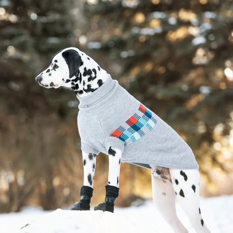 Winter Sailor Dog Sweater | Grey Mix