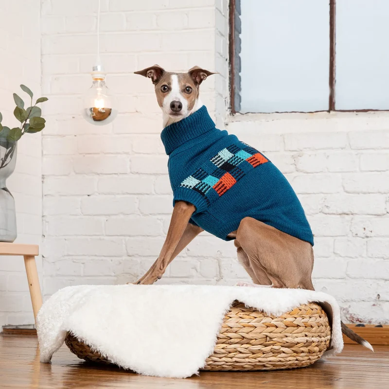 Winter Sailor Dog Sweater | Dark Blue