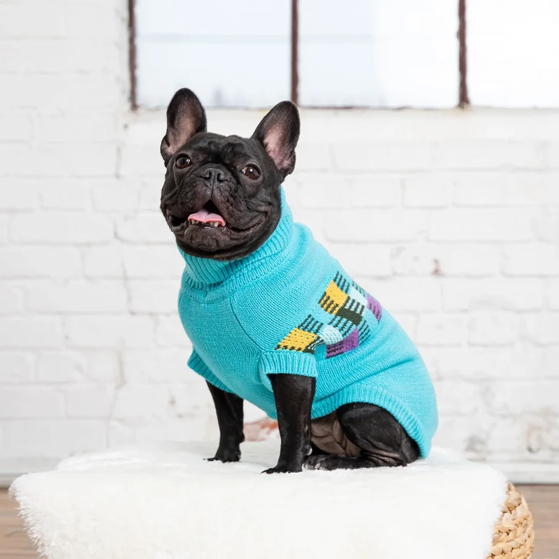 Winter Sailor Dog Sweater | Aqua