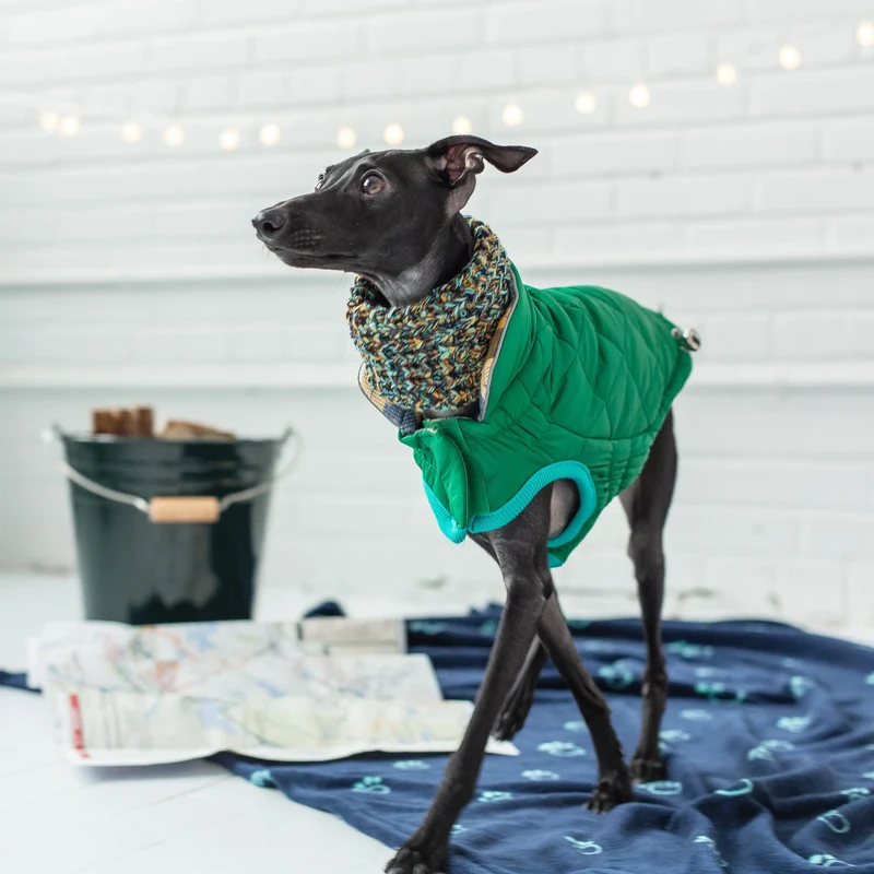 RV Trail Dog Jacket