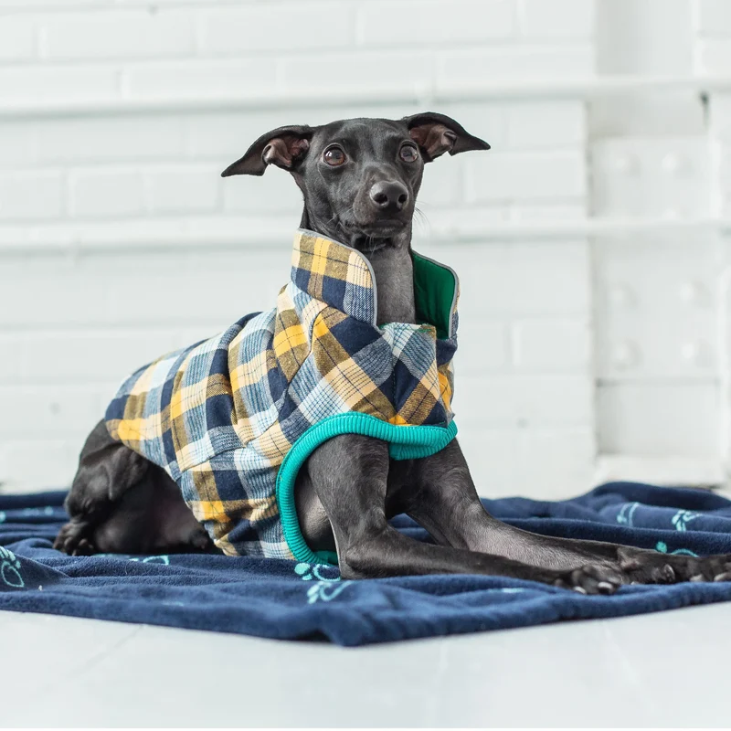 RV Trail Dog Jacket
