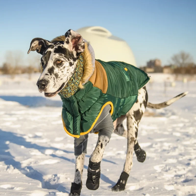 Lodge Parka Dog Coat | Forest Green