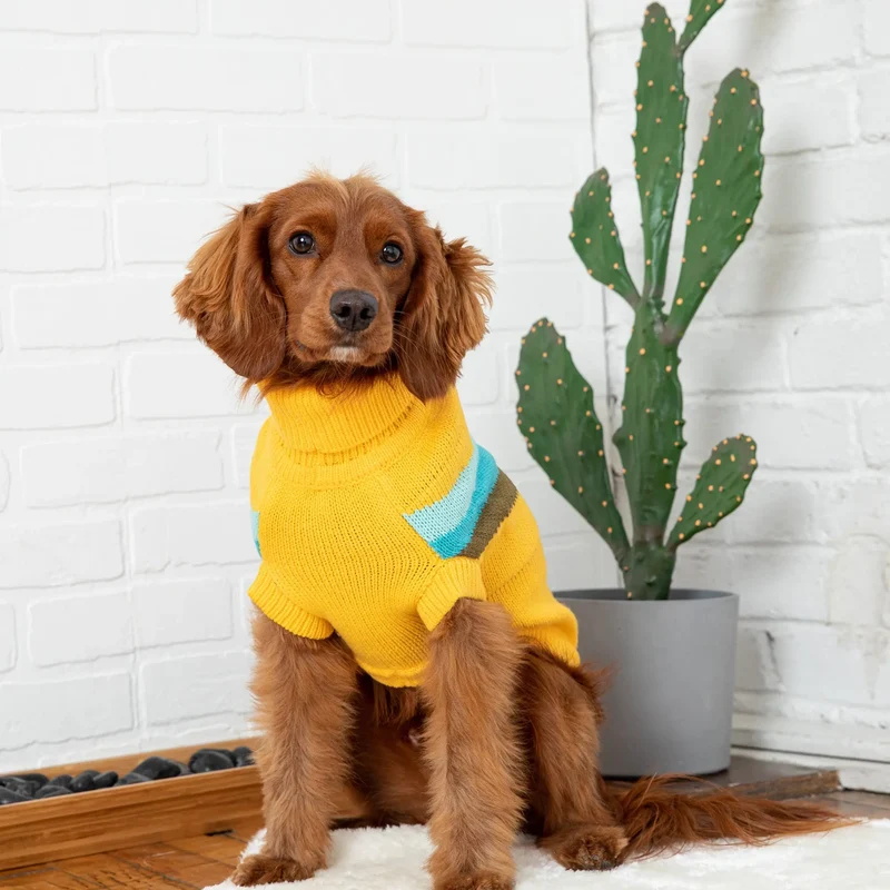 Alpine Dog Sweater | Yellow