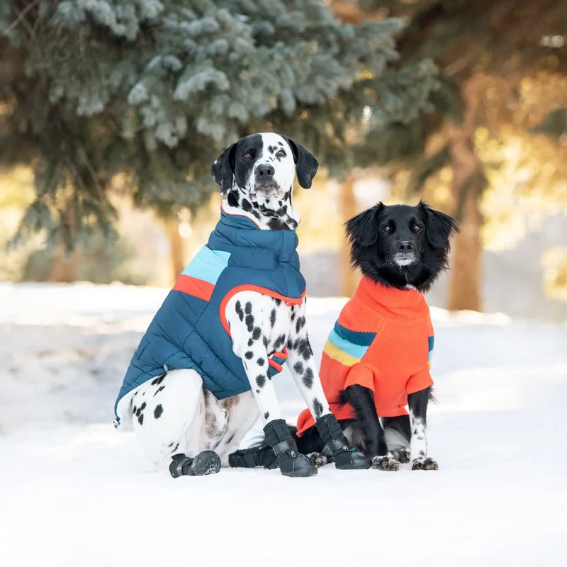 Alpine Dog Sweater | Orange