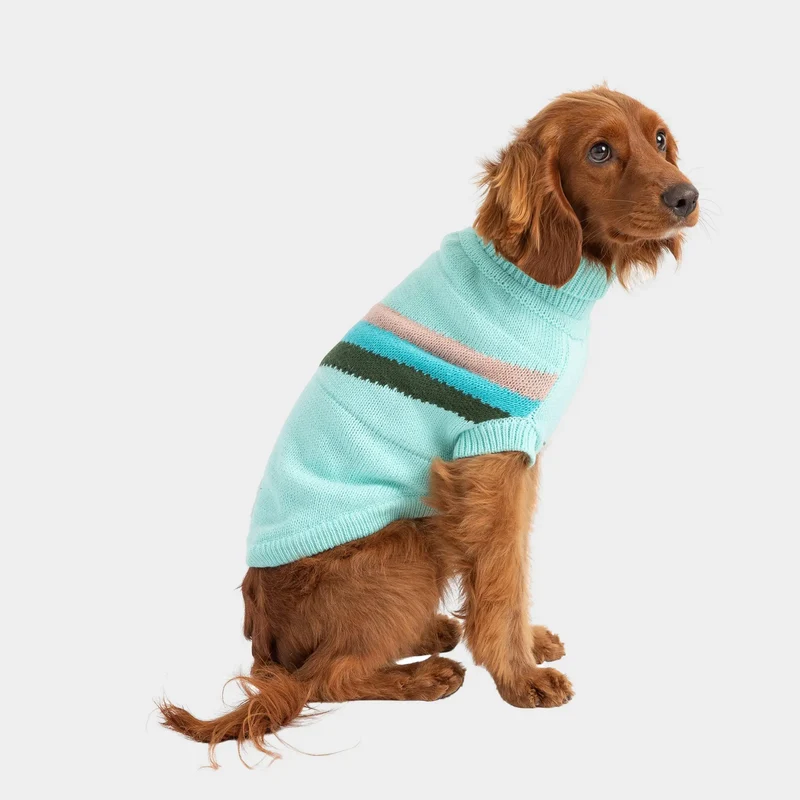 Alpine Dog Sweater | Light Aqua