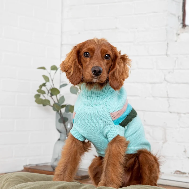 Alpine Dog Sweater | Light Aqua