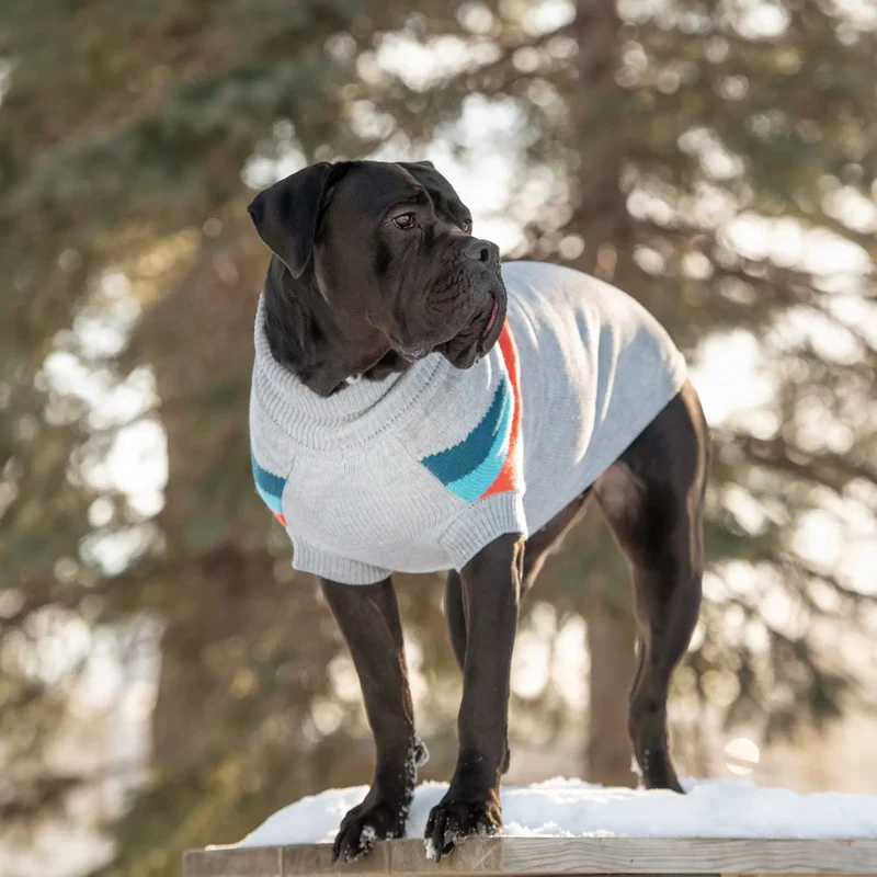 Alpine Dog Sweater | Grey Mix