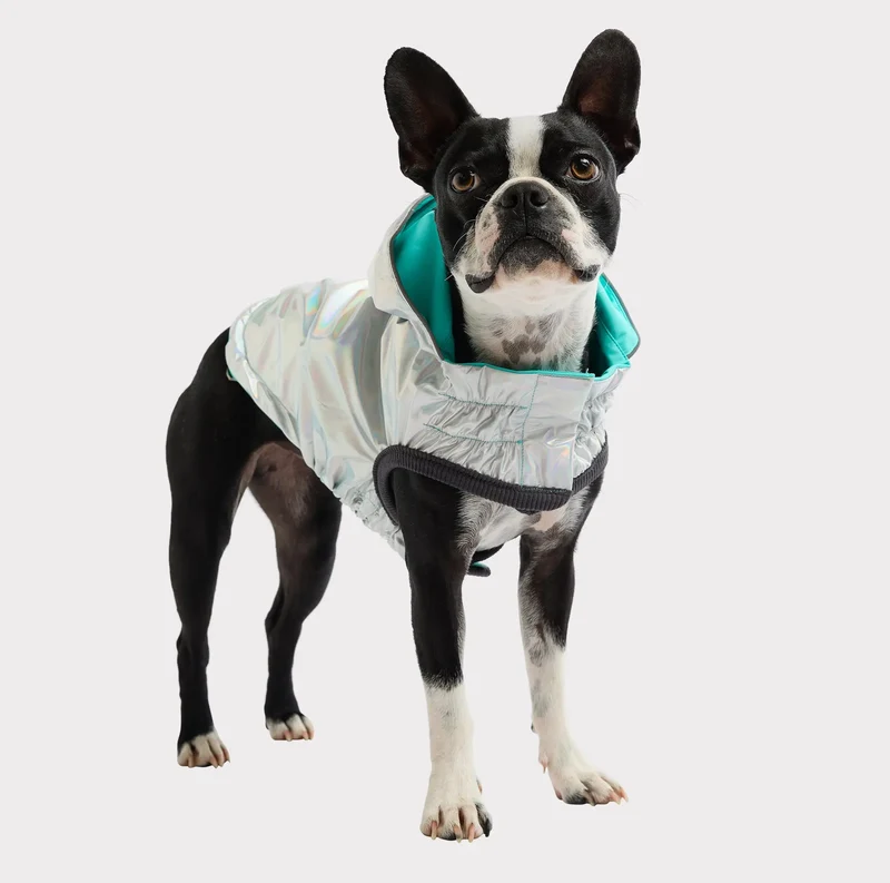 Reversible Dog Raincoat | Neon Aqua & Iridescent