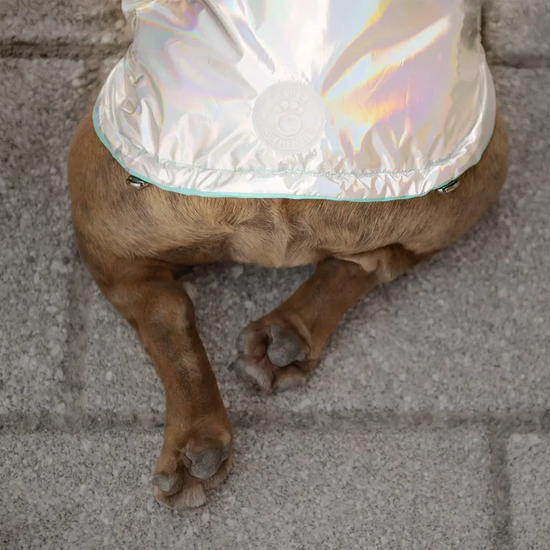 Reversible Dog Raincoat | Neon Aqua & Iridescent