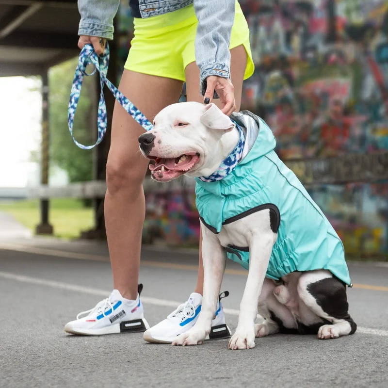 Reversible Dog Raincoat | Neon Aqua & Iridescent