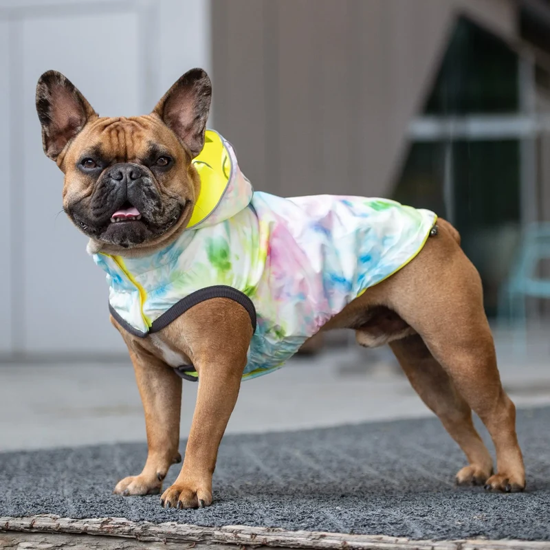 Reversible Dog Raincoat | Neon Yellow and Tie-Dye