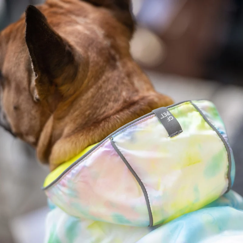 Reversible Dog Raincoat | Neon Yellow and Tie-Dye