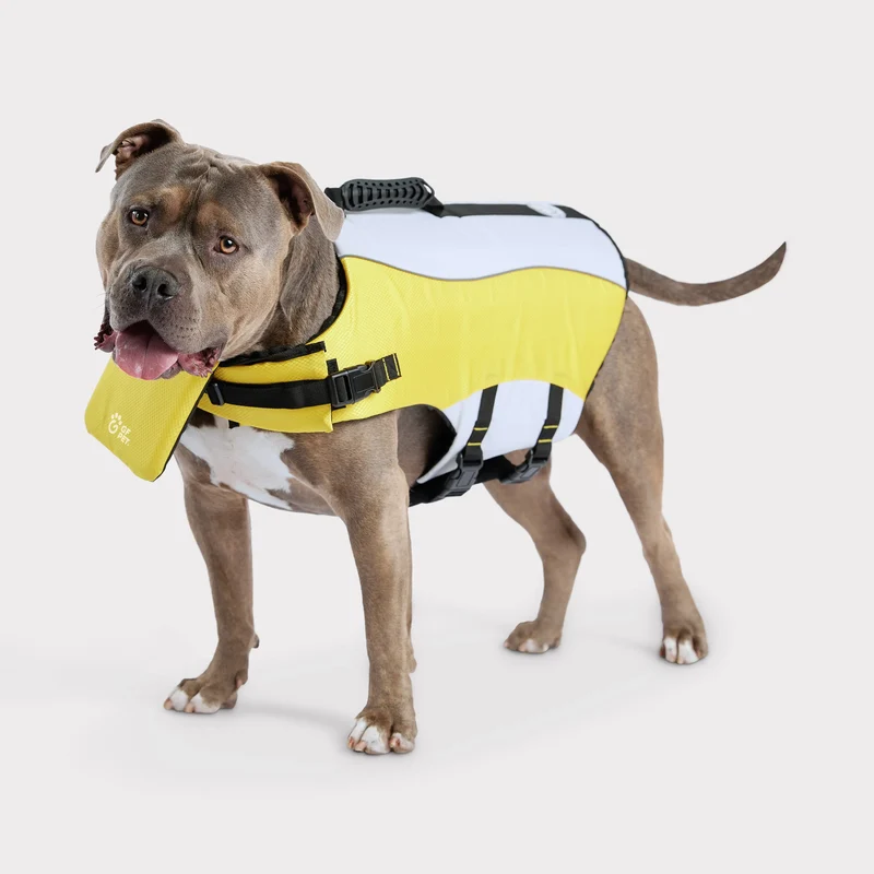 Dog Life Vest | Yellow