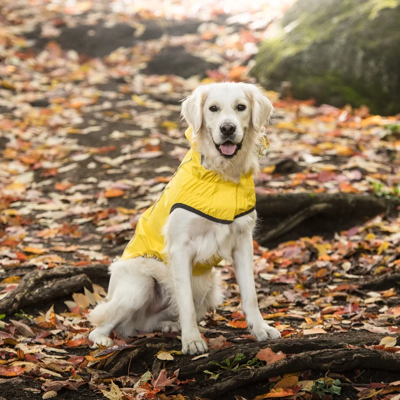 Reversible Dog Raincoat | Yellow Leaves