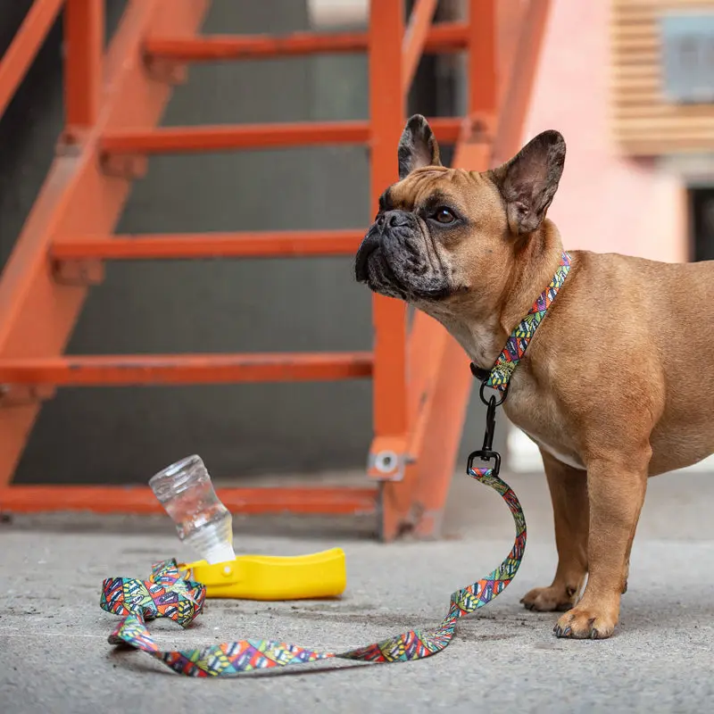 Collapsible Pet Water Bottle