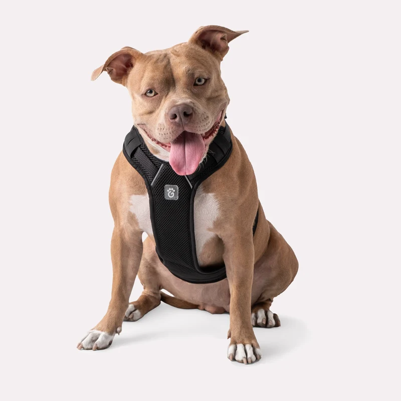 Dog Travel Harness