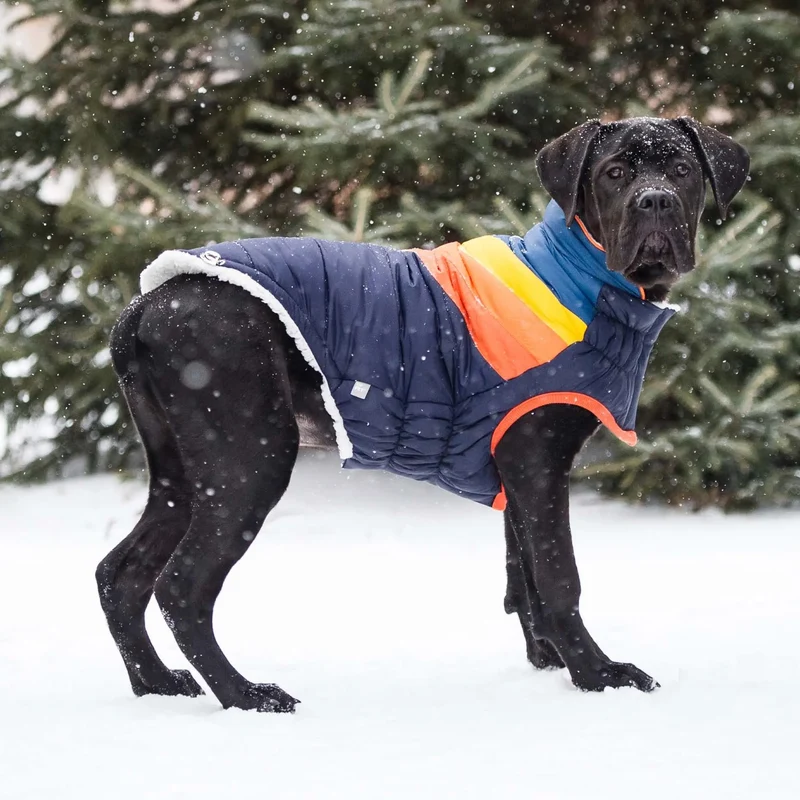 Summit Dog Puffer | Navy