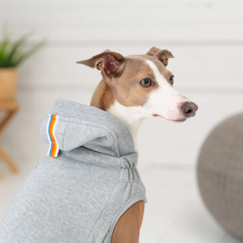 Urban Dog Hoodie | Heather Grey