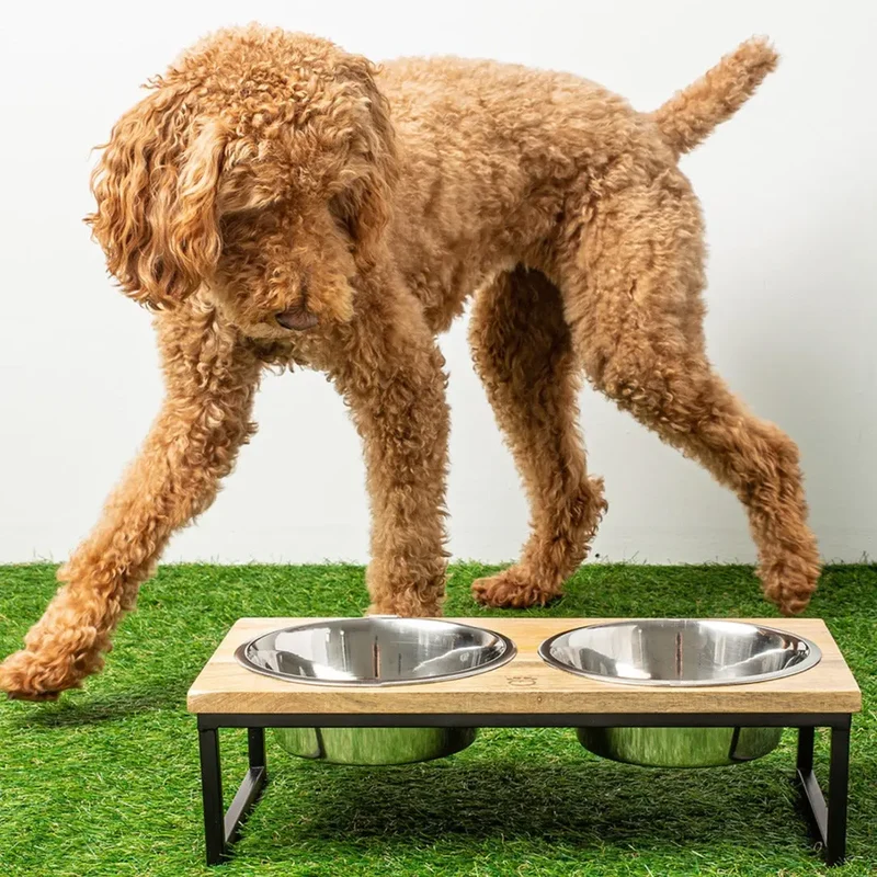 Wood & Metal Pet Feeder