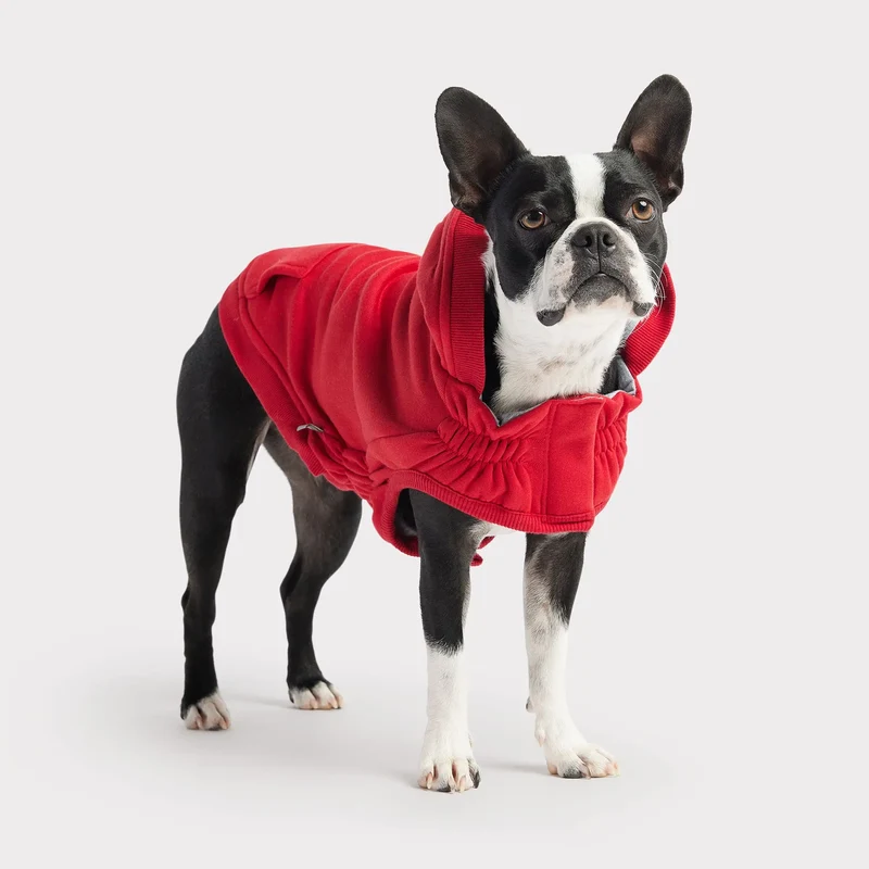 Urban Dog Hoodie | Red