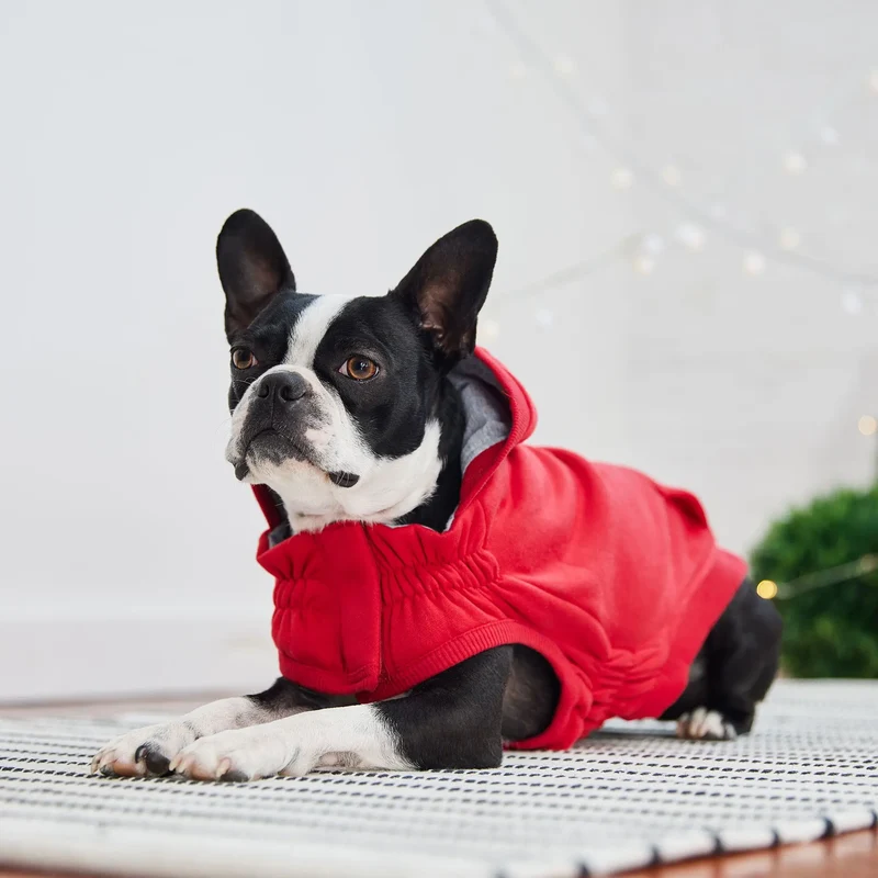 Urban Dog Hoodie | Red