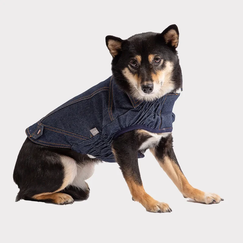 Denim Dog Jacket | Dark Wash