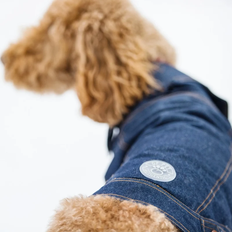 Denim Dog Jacket | Dark Wash