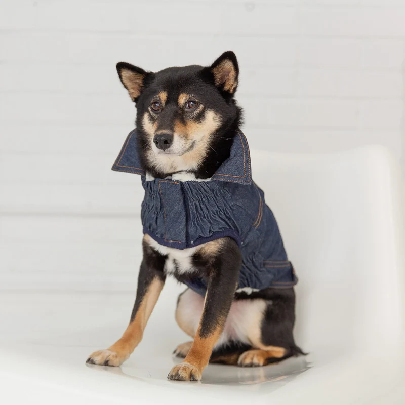 Denim Dog Jacket | Dark Wash