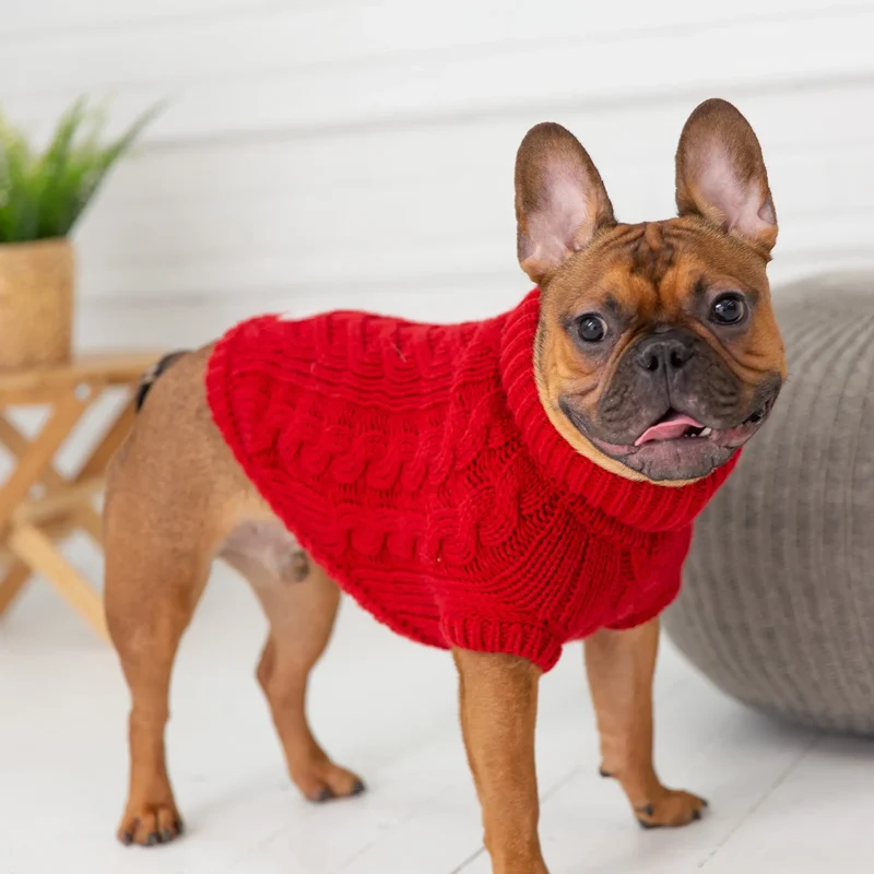 Chalet Dog Sweater | Red