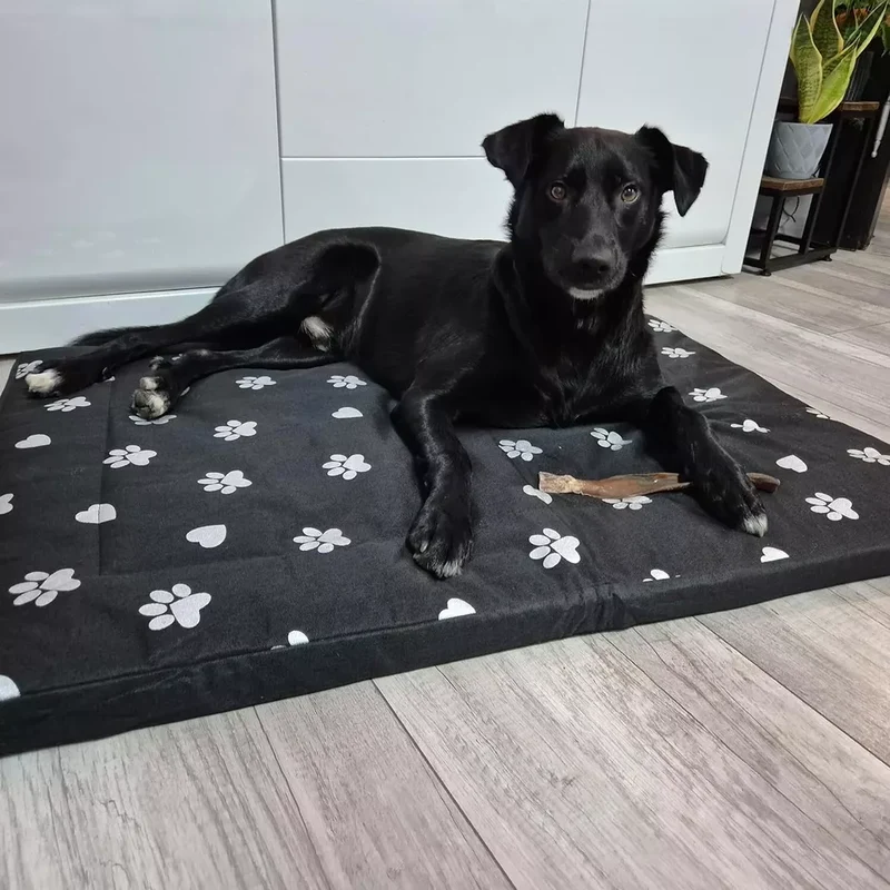 Cuccia Letto Tappeto Tappetino Materassino Lettino per Cane Gatto sfoderabile