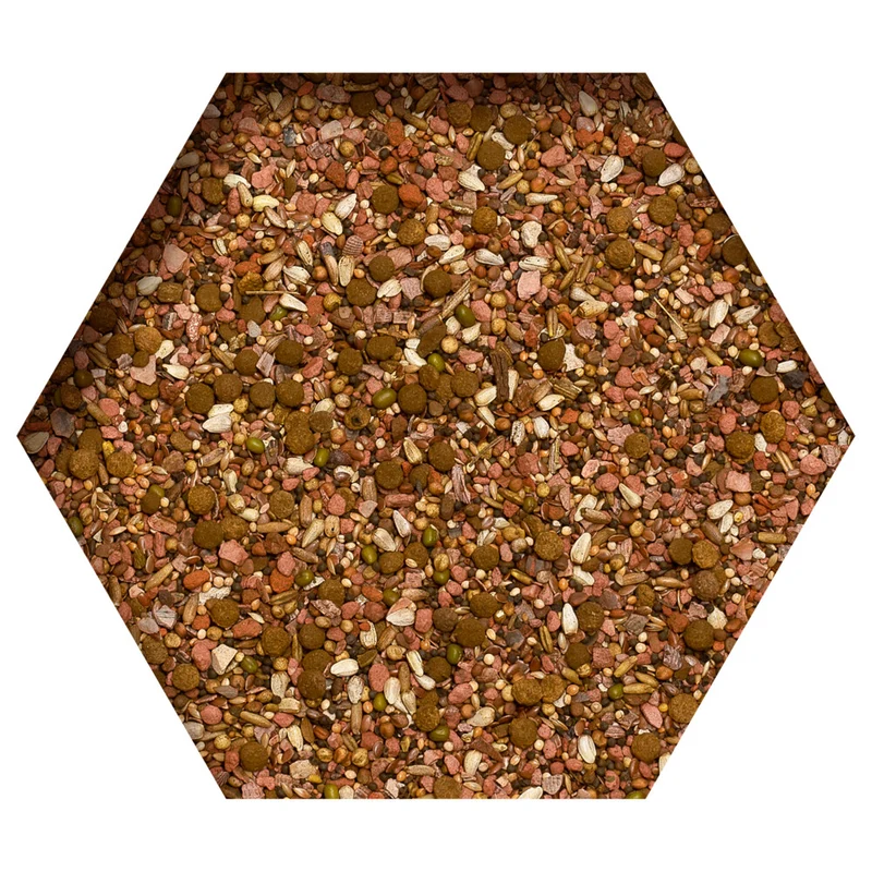 Beyers Miscela minerale disintossicante 8 kg