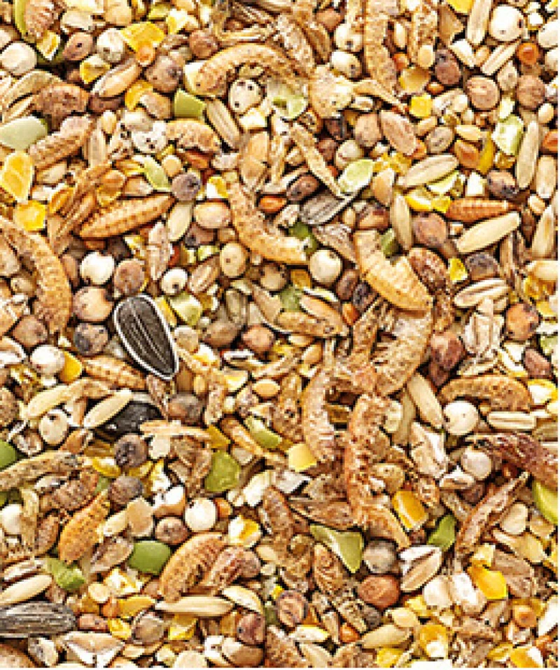 Country's Best Snack Garden Mix 1 kg - Cibo per polli