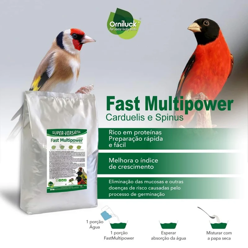 Fast Multipower Carduelis & Spinus 1 kg (confezionato singolarmente) - Green Eggfood
