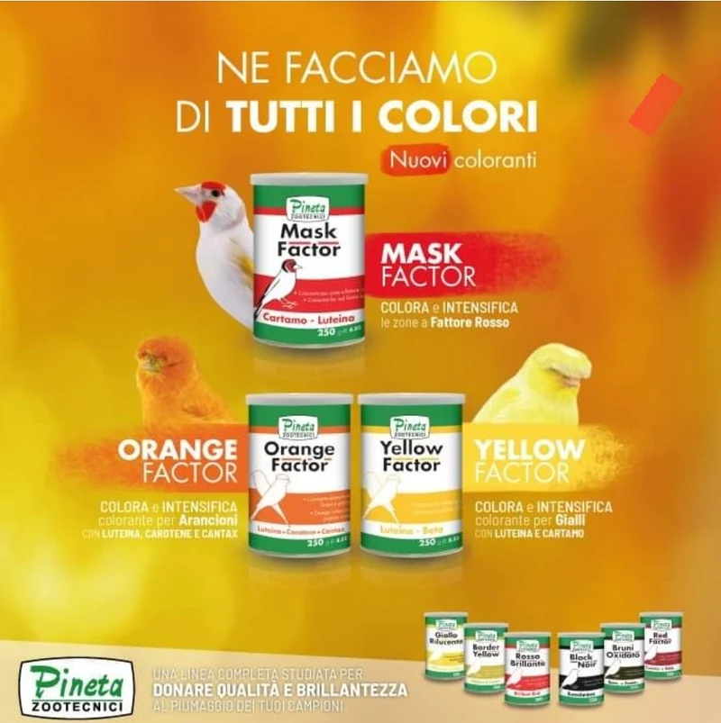 Fattore maschera 250 grammi - Pineta