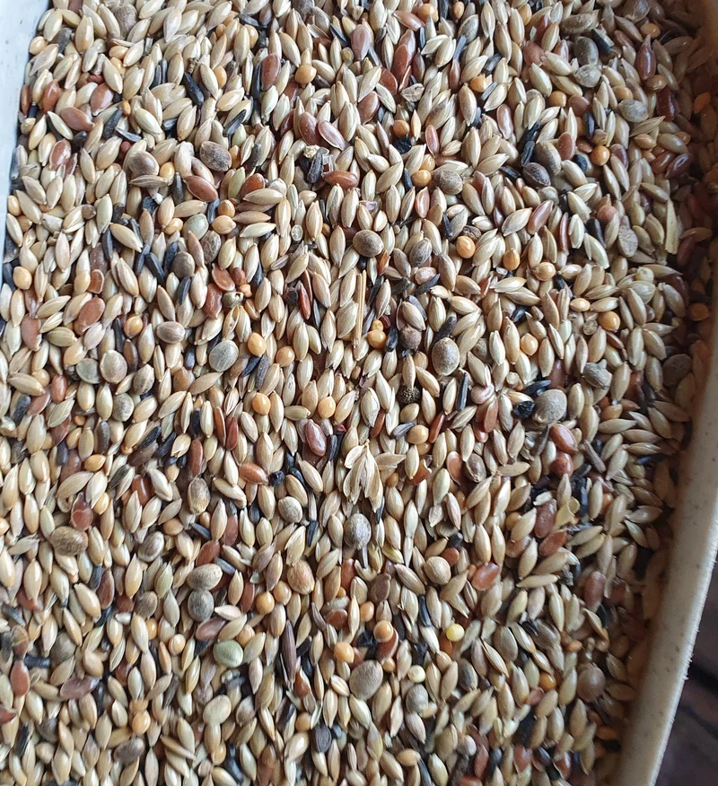 Premium Canarino Mix Senza Colza 5kg - Easseym
