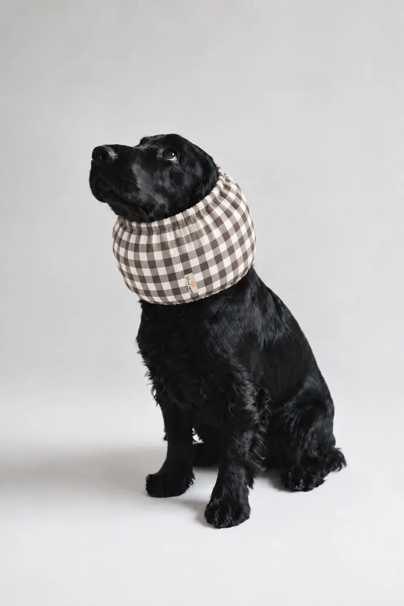Snood pour cocker Vichy Moka
