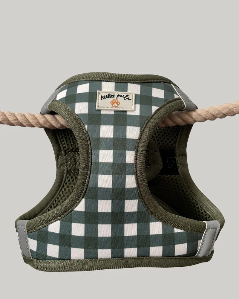 Harnais Step-in Vichy vert